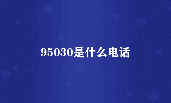 95030是什么电话