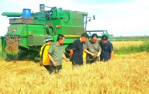 什么是三夏作业人员？