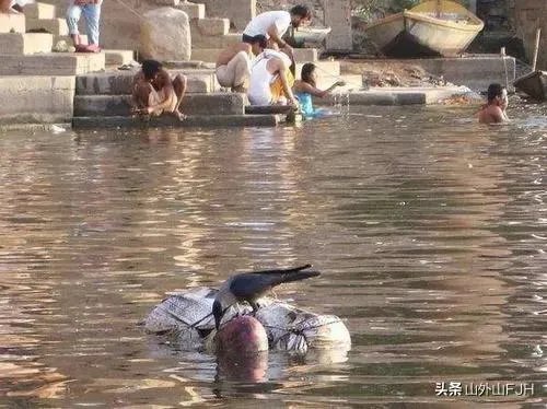 印度恒河水葬,新冠尸体也不例外,河内的鱼能吃吗?