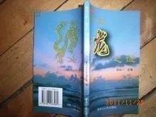 辽宁营口坠龙事件到底是怎么回事？