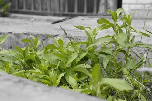 索尼NEX-C3评测：照片创作样张