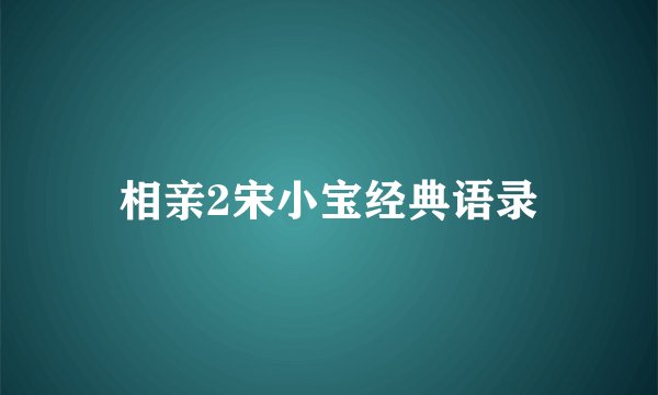 相亲2宋小宝经典语录