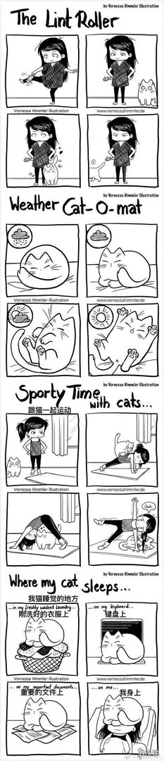 这磨人的小妖精!这20张插画告诉你为什么千万别养猫