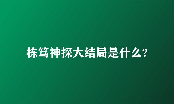 栋笃神探大结局是什么?