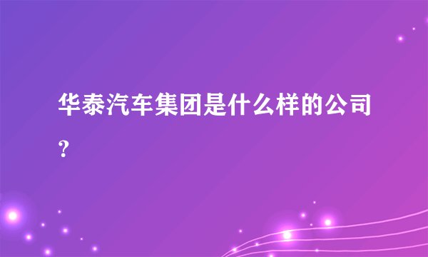 华泰汽车集团是什么样的公司？
