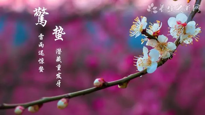 18年鼠的运势，属鼠人在2018年运势及运程如何