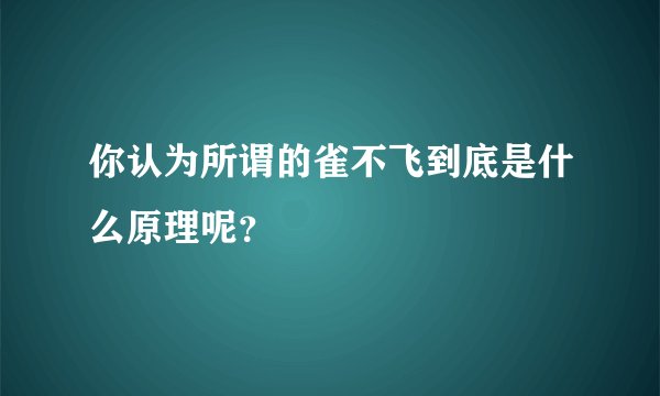 你认为所谓的雀不飞到底是什么原理呢？