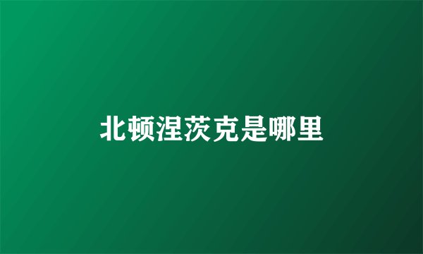 北顿涅茨克是哪里
