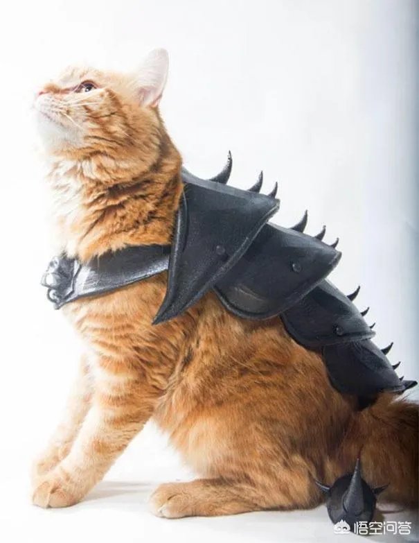 哪家3D打印机厂家质量比较有保证？深圳首选哪个品牌？