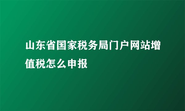 山东省国家税务局门户网站增值税怎么申报