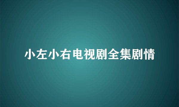 小左小右电视剧全集剧情