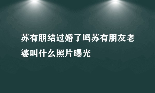 苏有朋结过婚了吗苏有朋友老婆叫什么照片曝光