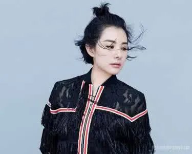 刘璇结过几次婚第二任丈夫是谁 王弢刘璇的爱情故事哪年认识的