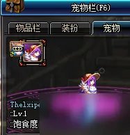 《DNF》宠物幻化攻略 幻化功能玩法分享