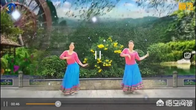 你都会跳哪些广场舞?