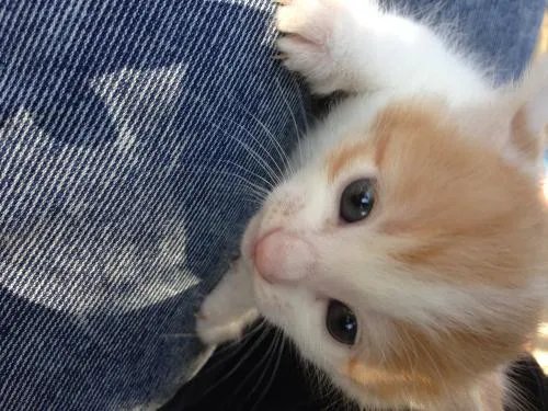 装修空气检测方法 国家认证专业空气检测机构