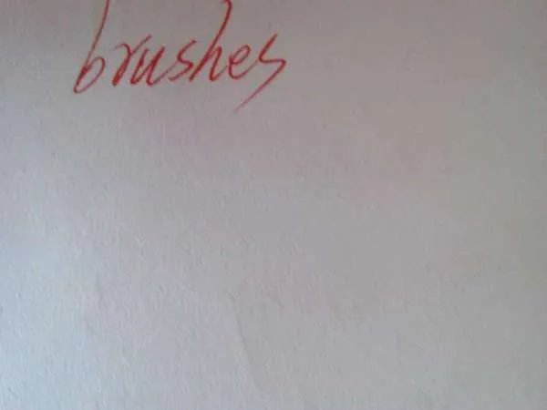 brush的复数怎么写