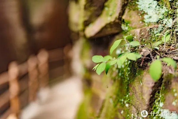 记一次黄河丹峡游记