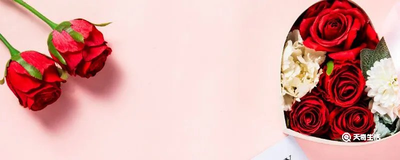 男生发521是什么意思