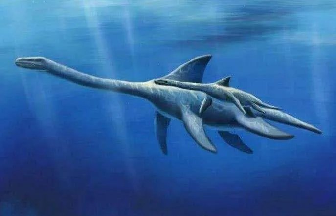 长白山天池与尼斯湖的水怪是不是恐龙的后代？