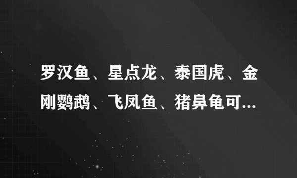 罗汉鱼、星点龙、泰国虎、金刚鹦鹉、飞凤鱼、猪鼻龟可以混养吗？