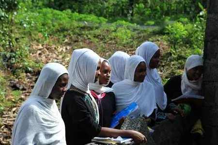 科摩罗共和国简介