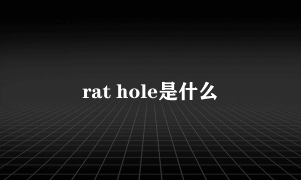 rat hole是什么