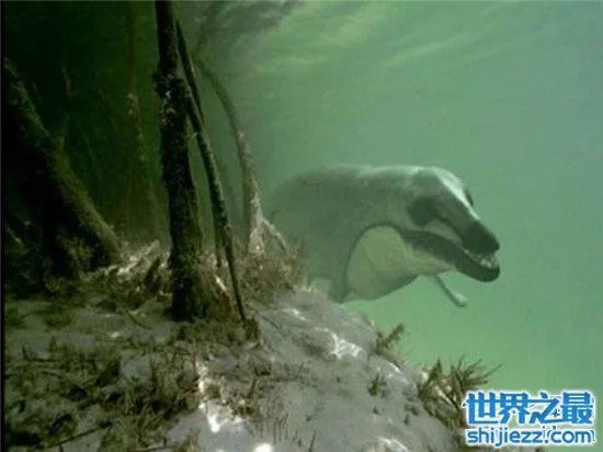 伊西斯龙王鲸是一种远古生物，曾是海洋中的霸主 