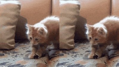 OPPO Find X2 Pro全面评测：久违的极致旗舰