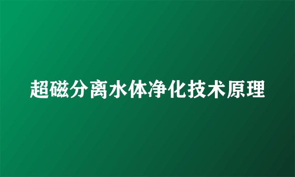 超磁分离水体净化技术原理