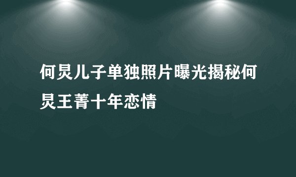 何炅儿子单独照片曝光揭秘何炅王菁十年恋情