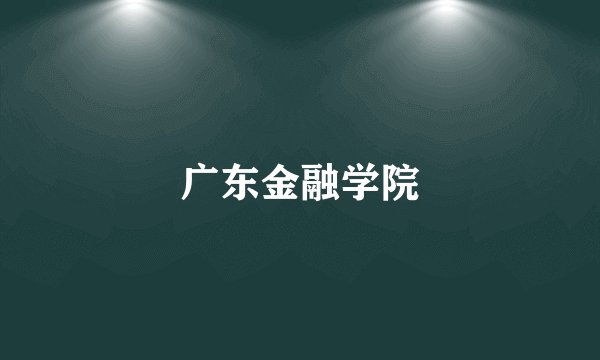 广东金融学院