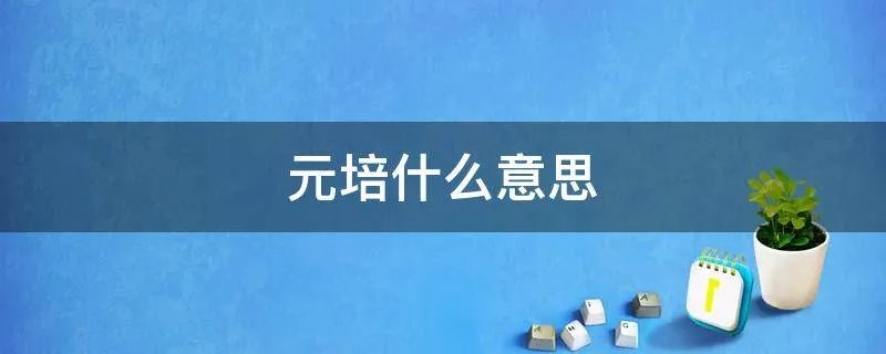 元培什么意思