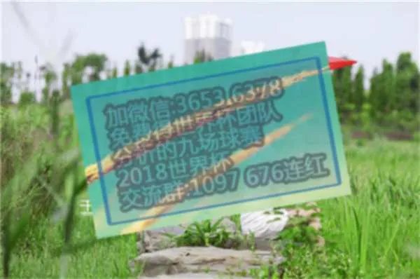 瑞士在世界杯最好的排名是多少