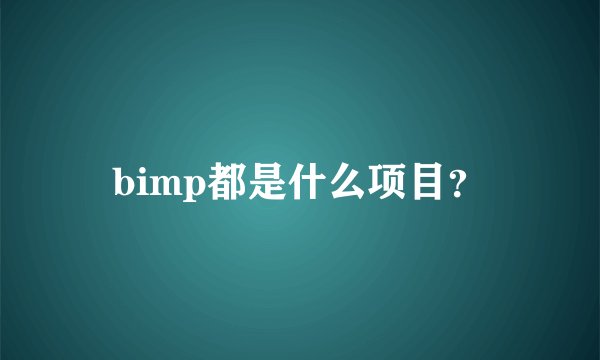 bimp都是什么项目？