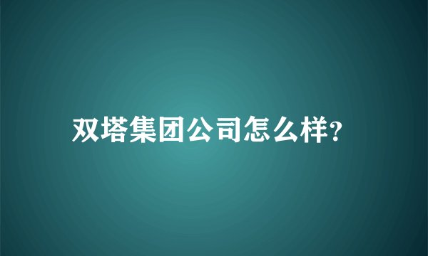 双塔集团公司怎么样？