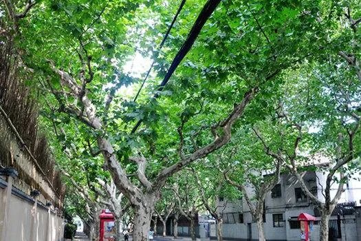 湖南涉外经济学院属于什么派出所的什么社区?