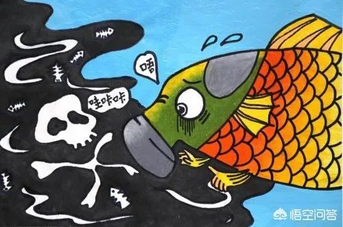 RO反渗透净水器和超滤净水器有什么区别？