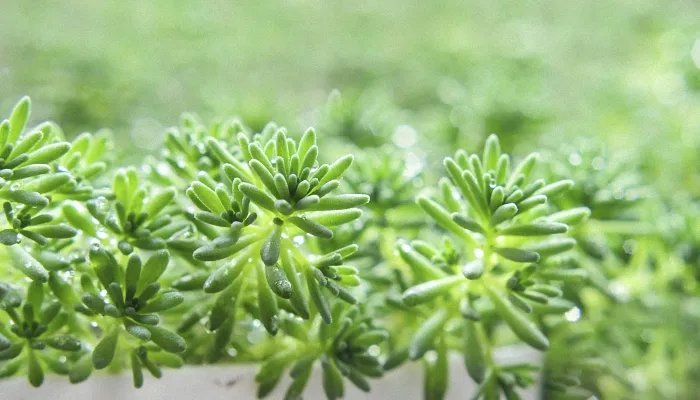 2022年什么时候立春 2022年立春时间是什么时候