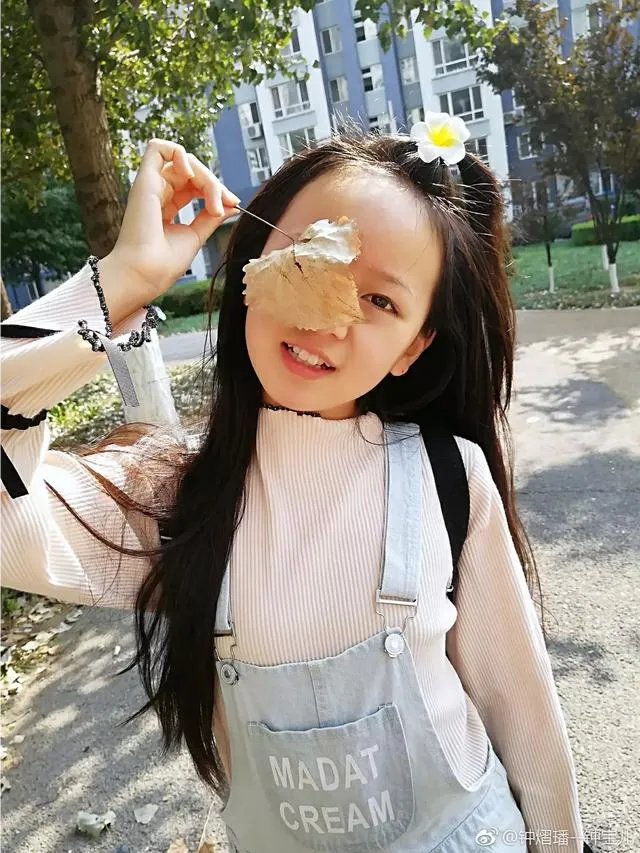 《小戏骨版红楼梦》你喜欢宝钗还是黛玉？