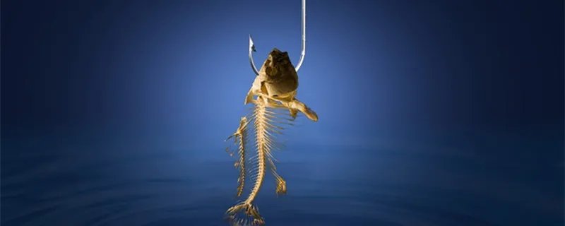 鱼钩十大品牌排行榜 鱼钩的品牌排行榜