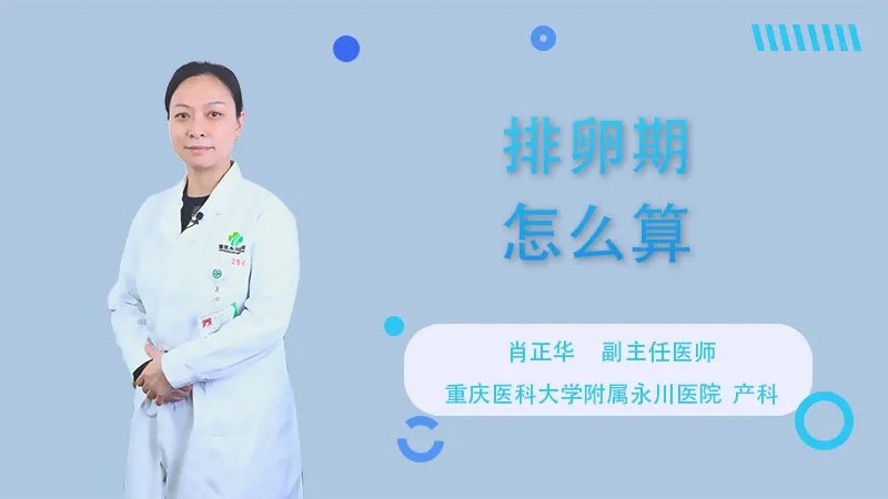  排卵期怎么算