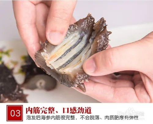 海参怎么泡发?海参泡发详解