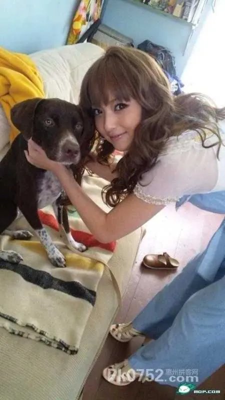 学校的阶梯的介绍