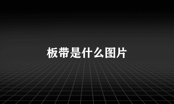 板带是什么图片