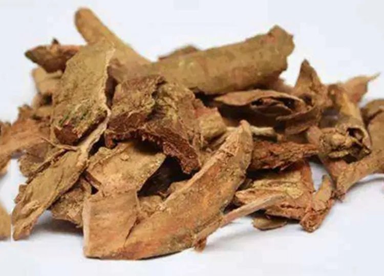 土荆皮的功效与作用