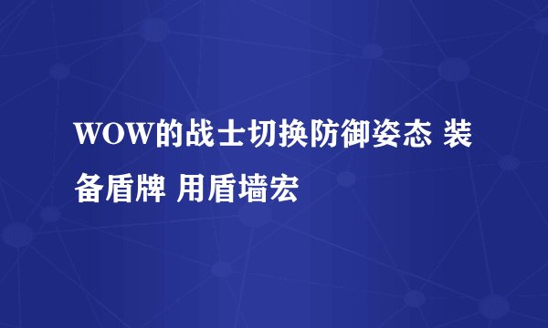 WOW的战士切换防御姿态 装备盾牌 用盾墙宏