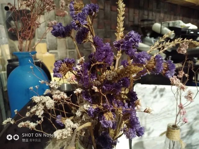 魅蓝Note6教你三步从拍照菜鸟成大神