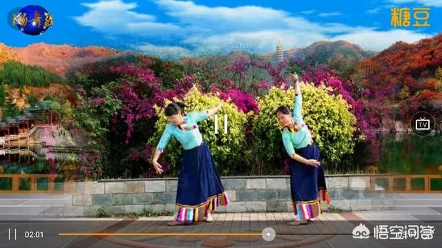 你都会跳哪些广场舞?