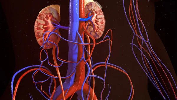 肾癌的早期症状